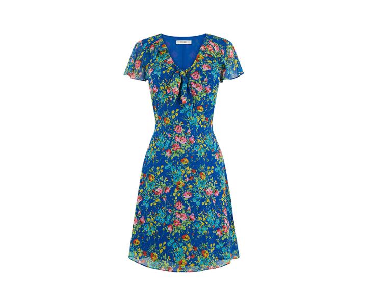 Oasis Painted Posy Tea Dress