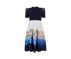 Oasis Hydrangea Lace Top Dress