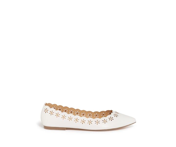 Oasis Cutout Scallop Flat