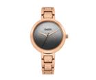 Oasis Gold Tone Ombre Watch