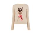 Oasis Vixen Reindeer Jumper