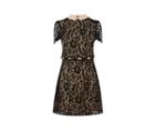 Oasis Lace Collared Shift Dress