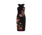 Oasis Royal Worcester Pencil Dress