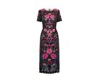 Oasis Embroidered Lace Pencil Dress