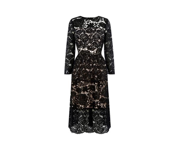 Oasis Lace Sleeve Midi Dress