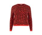 Oasis Curve Graphite Animal Jumper