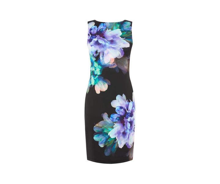 Oasis Fairytale Scuba Dress
