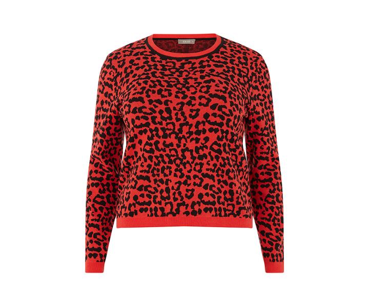 Oasis Curve Animal Jumper