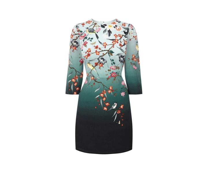 Oasis Heidi Placement Shift Dress