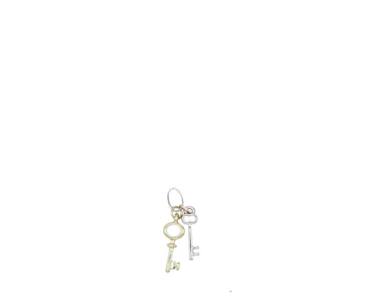 Oasis Multi Key Charm