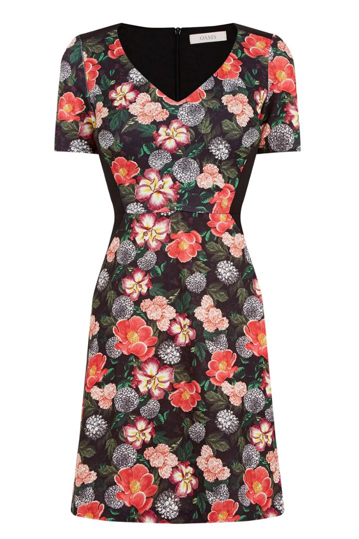 Oasis Botany Dress