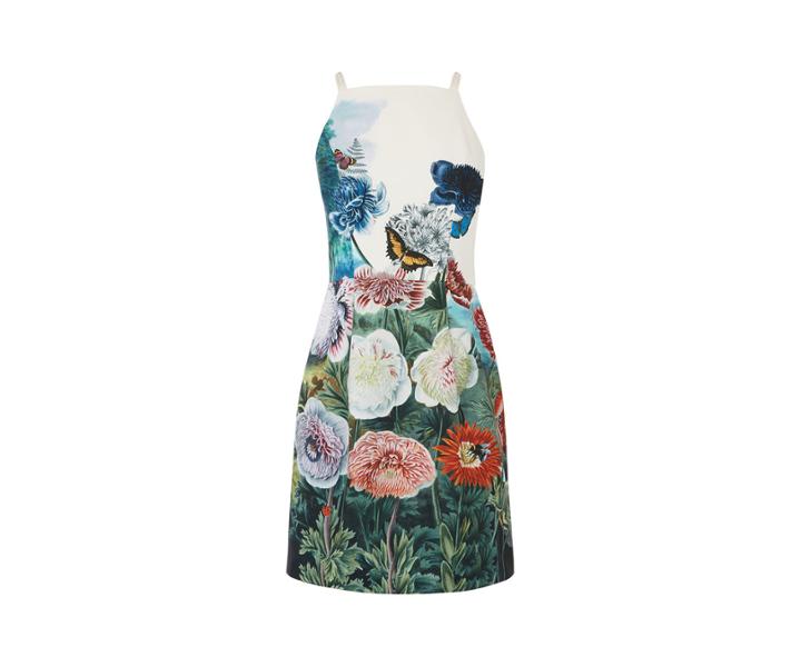 Oasis Nhm Lace Back Shift Dress