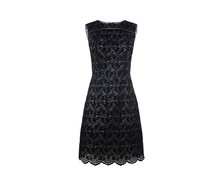 Oasis Ntu Lace Flocked Shift Dress L