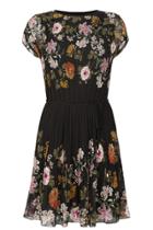 Oasis Opium Pleat Dress