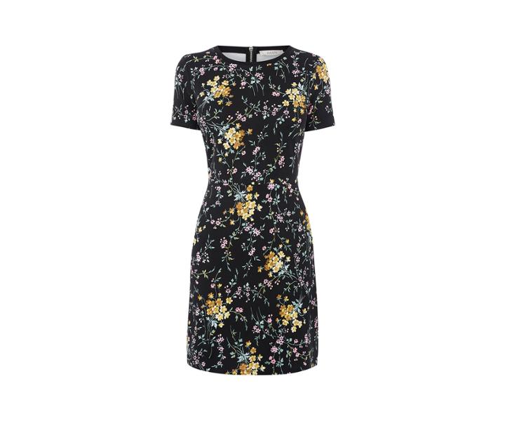 Oasis Printed Ponte Dress