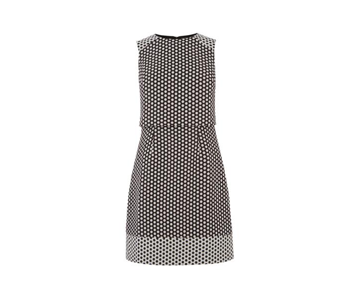 Oasis Polka Dot Skater Dress