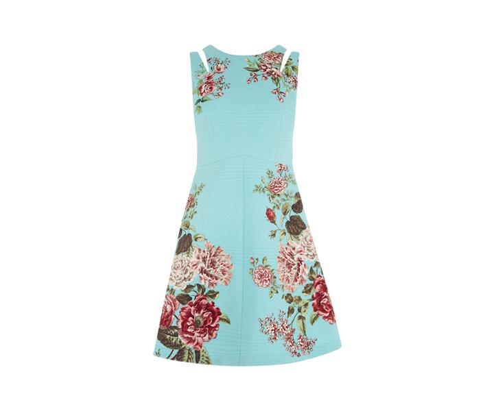 Oasis Royal Worcester Skater Dress