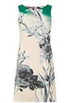 Oasis Photographic Floral Shift Dress