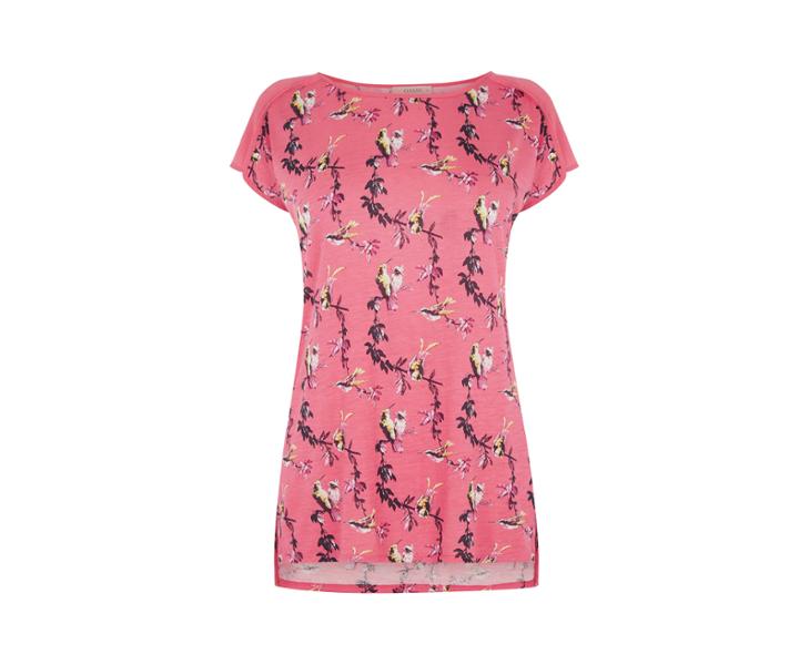 Oasis Hummingbird Print Tee