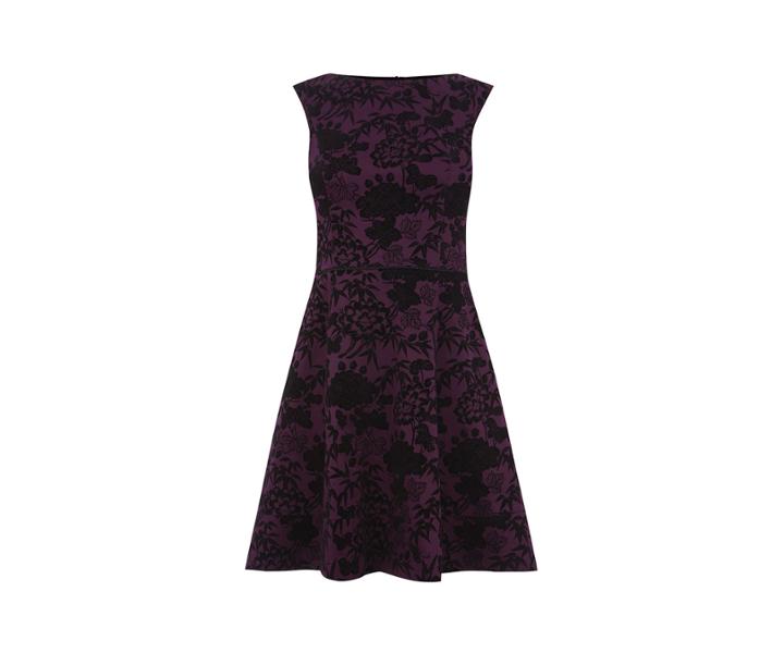Oasis Flocked Skater Dress