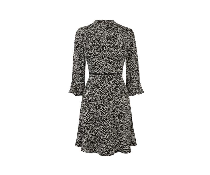 Oasis Animal High Neck Skater Dress