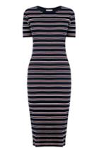 Oasis Fluro Stripe Rib Tube Dress