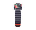 Oasis Amya Floral Stripe Dress