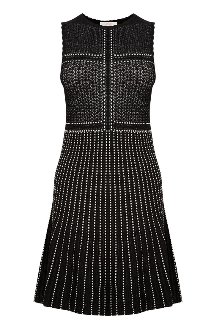 Oasis Lace Compact Statement Dress