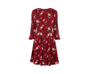 Oasis Renaissance Skater Dress
