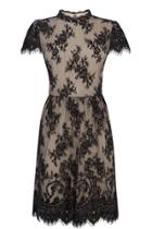 Oasis Gothic Lace Dress
