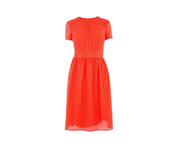 Oasis Longer Lace Skater Dress