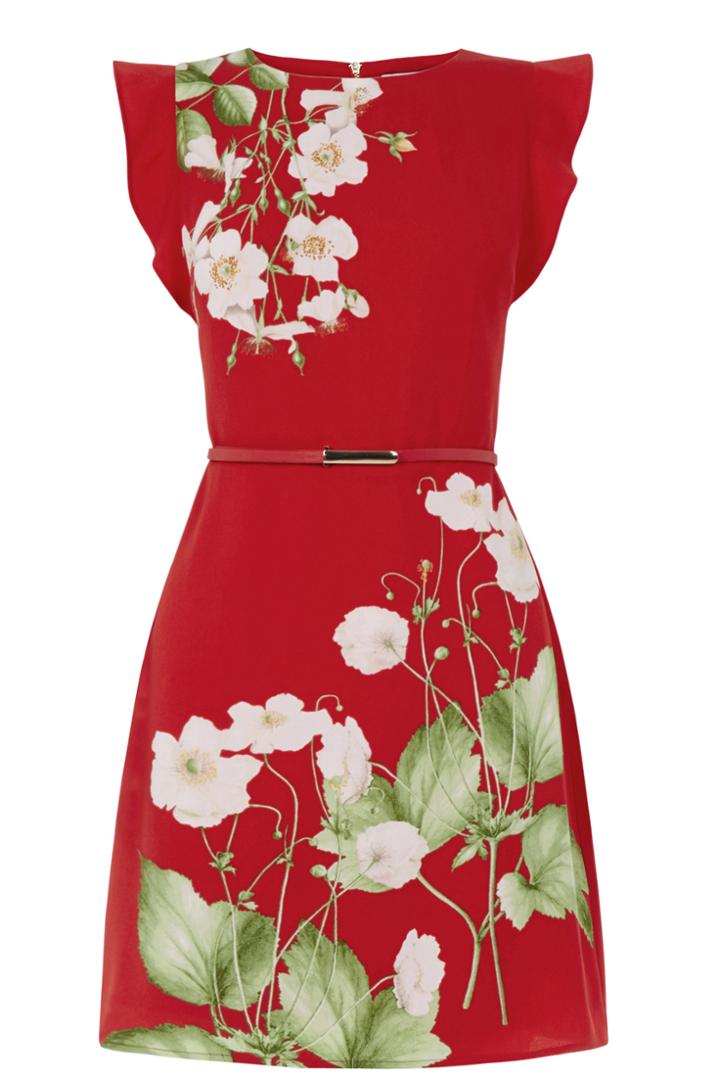 Oasis Chelsea Border Dress