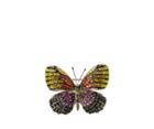 Oasis Butterfly Brooch