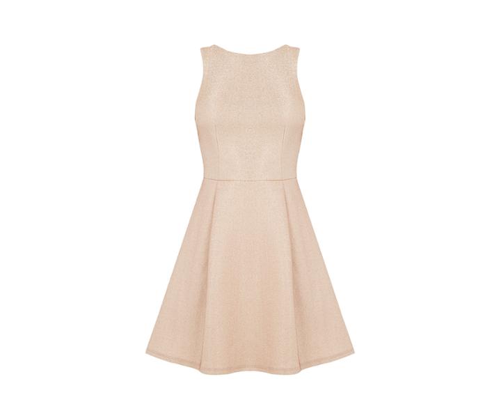 Oasis Sparkling Skater Dress