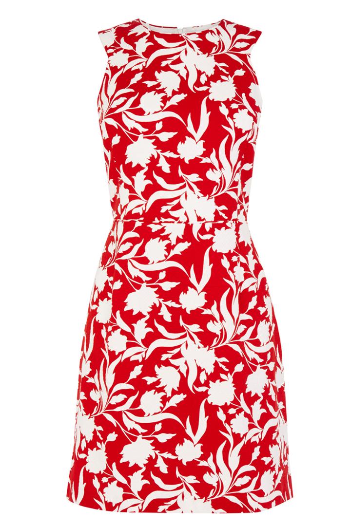 Oasis Flourishing Shadow Print Dress