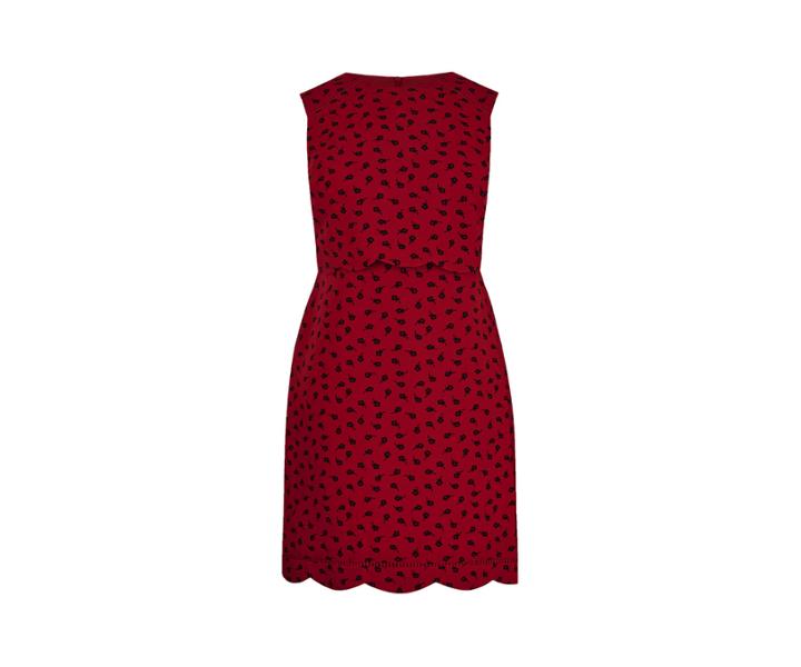 Oasis Ditsy Scallop Shift Dress