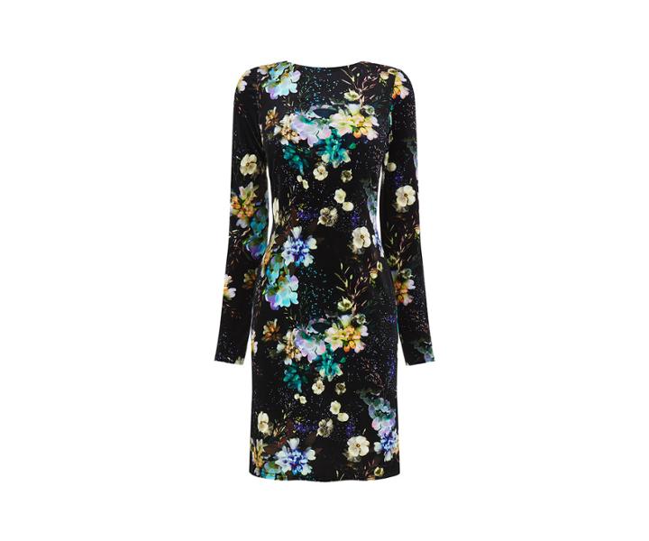 Oasis Fairytale Velvet Dress