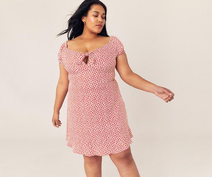 Oasis Curve Ditsy Skater Dress