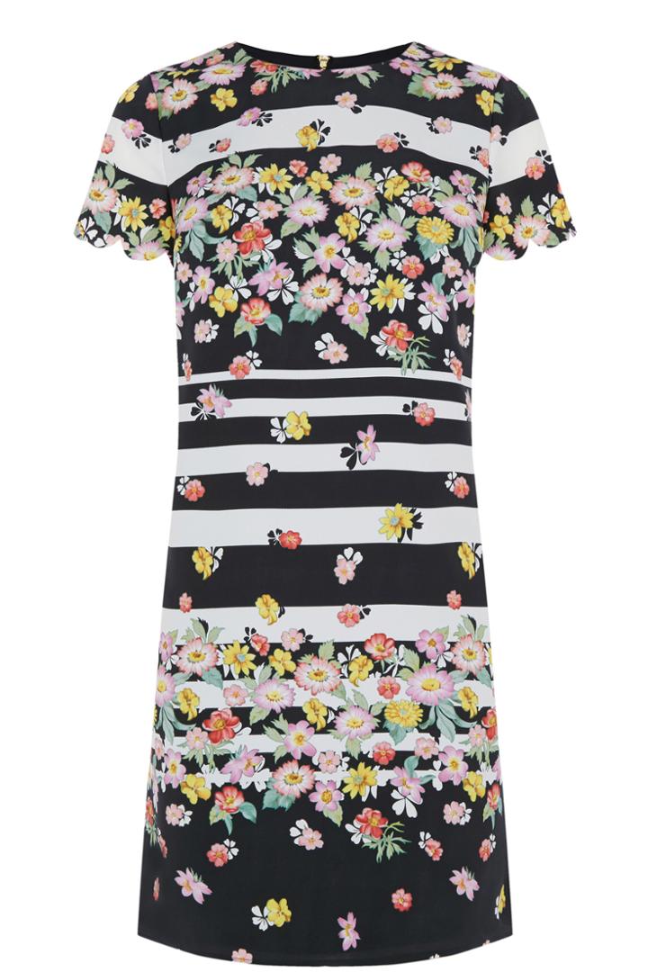 Oasis Sophia Stripe Scallop Shift