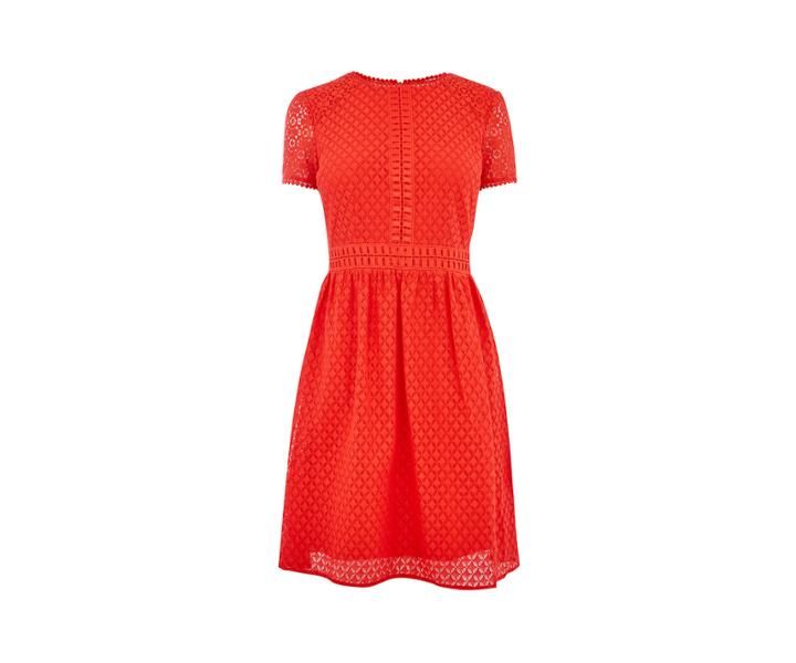 Oasis Lace Day Skater Dress