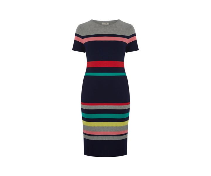 Oasis Curve Stripe Tube Dress