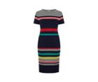 Oasis Curve Stripe Tube Dress