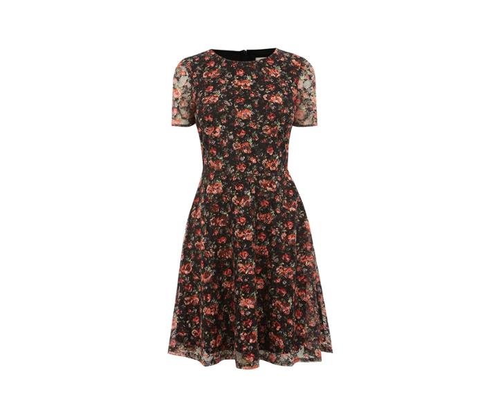 Oasis Small Rose Lace Dress