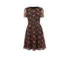Oasis Small Rose Lace Dress