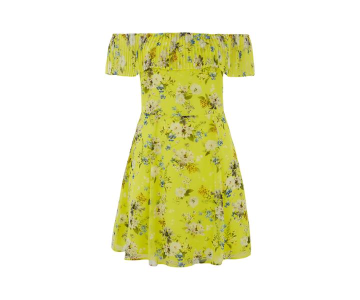 Oasis Curve Daisy Skater Dress