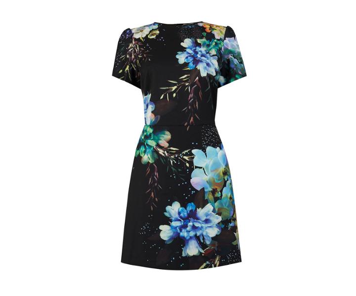 Oasis Fairytale Shift Dress