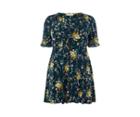 Oasis Curve Madeline Floral Dress