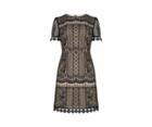 Oasis Graphic Lace Shift Dress