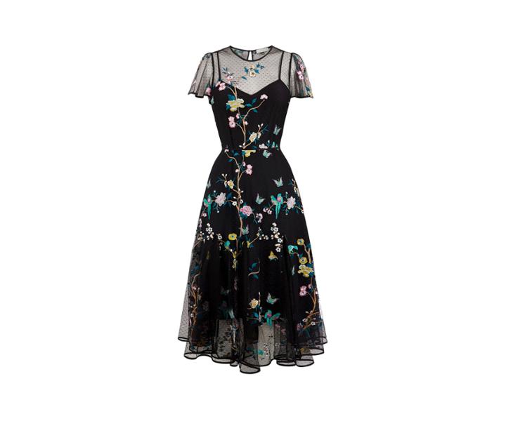 Oasis V & A Embroidered Mesh Dress