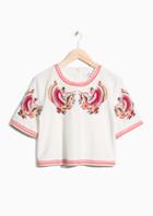 Other Stories Summer Fiesta Embroidered Top